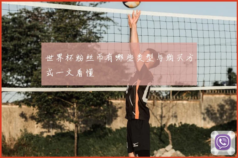 世界杯粉丝币有哪些类型与购买方式一文看懂