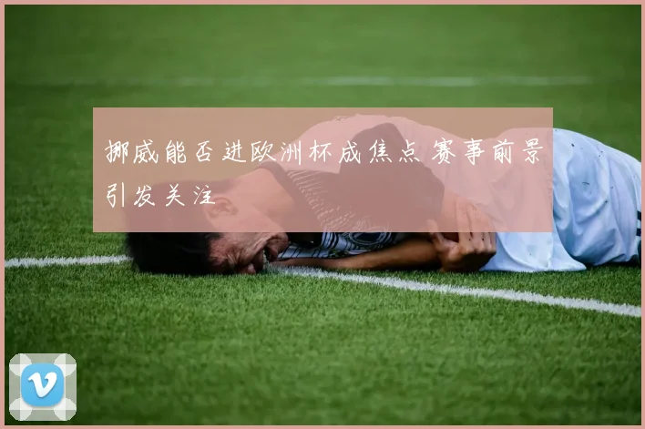 挪威能否进欧洲杯成焦点 赛事前景引发关注