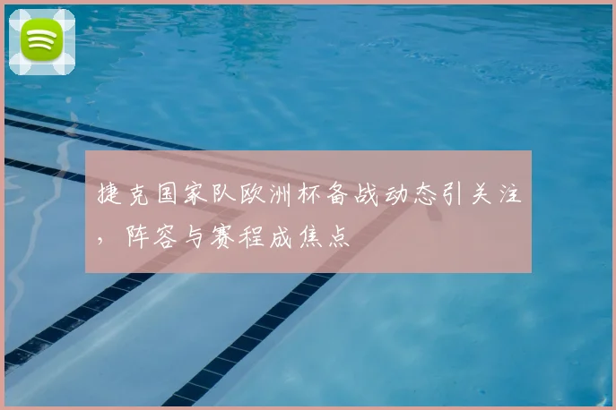 捷克国家队欧洲杯备战动态引关注，阵容与赛程成焦点