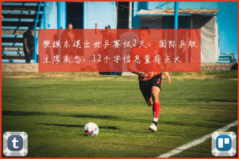 樊振东退出世乒赛仅2天，国际乒联主席表态，12个字信息量有点大