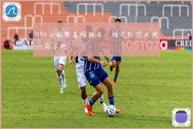 nba小前锋盖帽排名,谁是防守大闸一目了然!