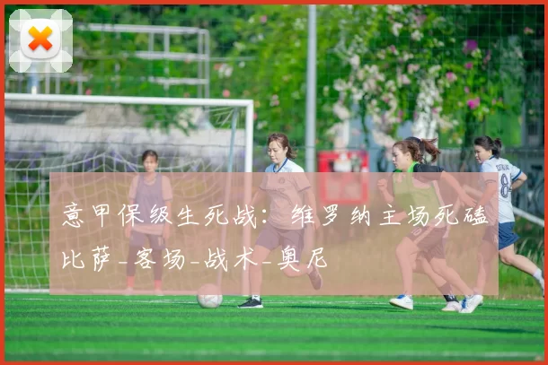 意甲保级生死战：维罗纳主场死磕比萨_客场_战术_奥尼